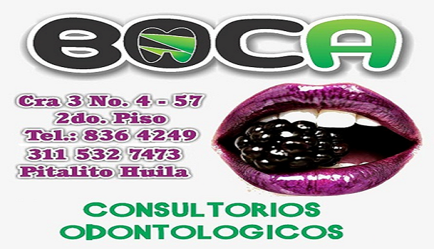 pitalito-Zona-Vip