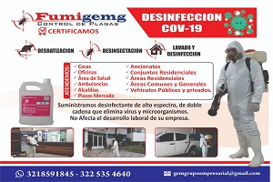 Recreativo