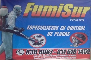 Recreativo